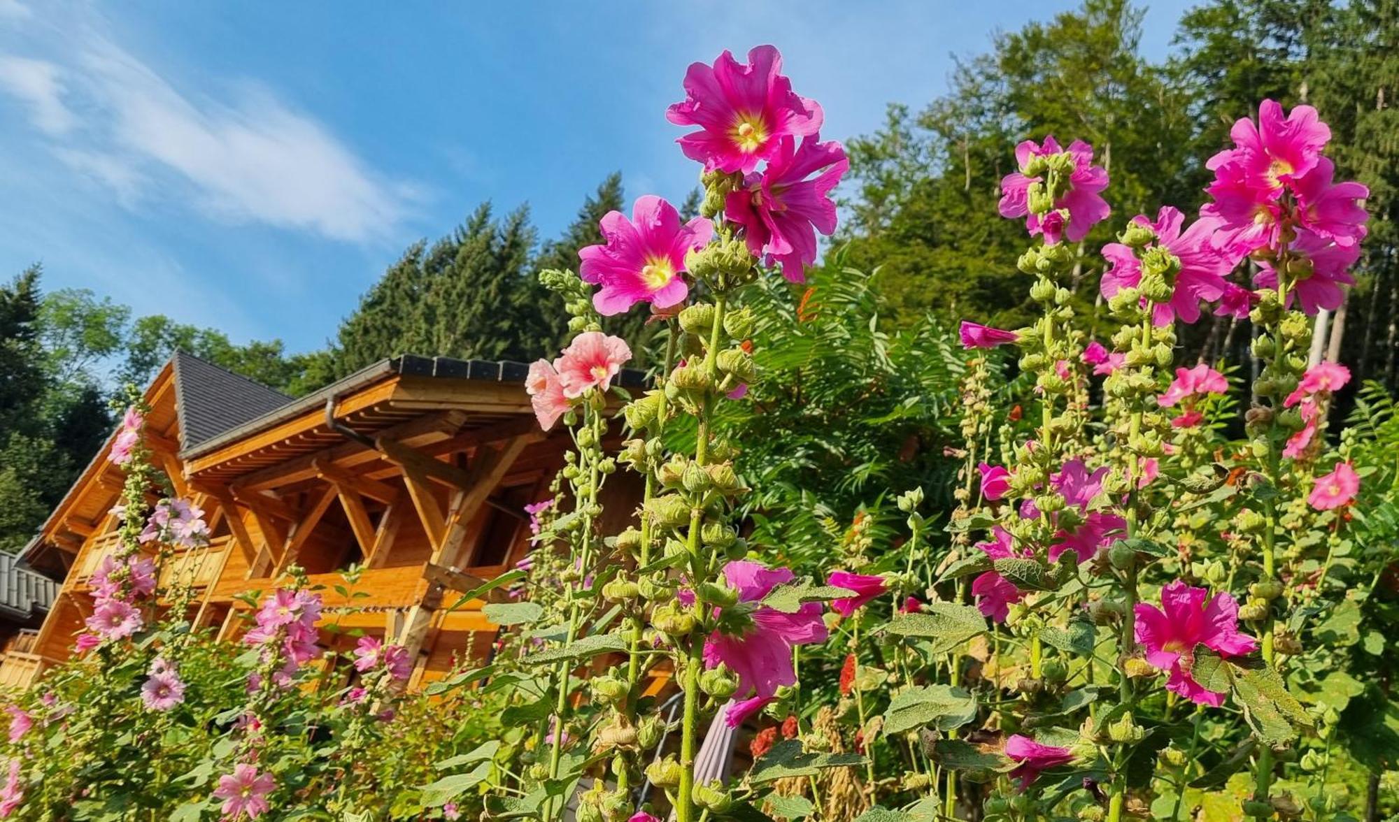 Chalet Arpitan - Les Carroz - Grand Massif Exterior photo